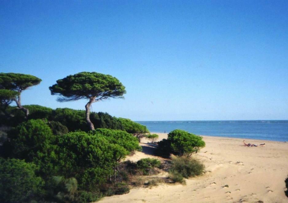 Atico Del Portil Lägenhet Exteriör bild